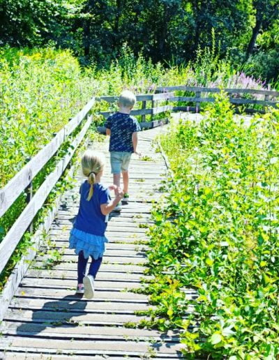 Wandelen over bruggetje op de Veluwe met kinderen