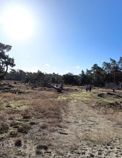 wandelen op de Veluwe met kinderen