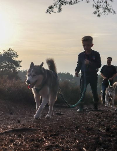 Husky tocht Epe met kinderen op de Veluwe