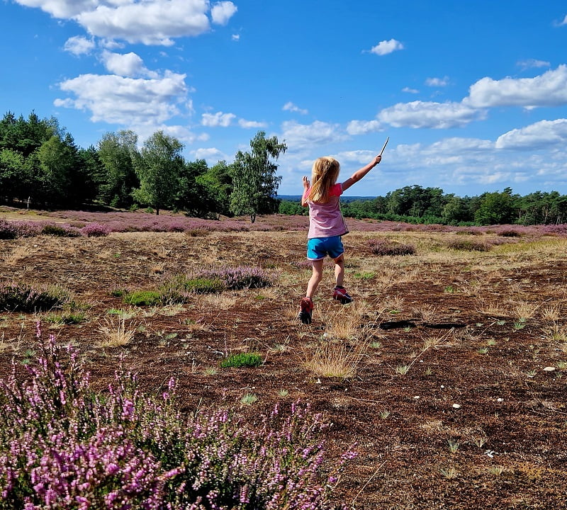 Wandelroute Deelerwoud kindvriendelijk 
