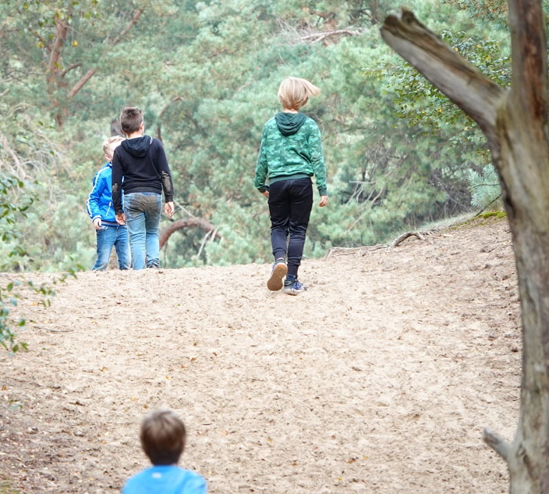 Kindvriendelijke wandeling Wekeromse Zand