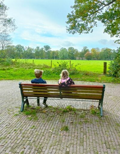 Quinn en Vayen bank Kernhemse bos