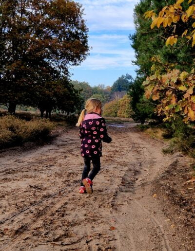 Vayen wandelen noord ginkelse heide