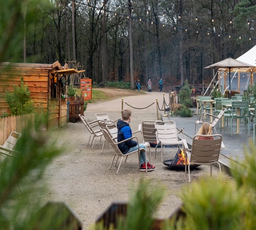Winterterras Nationale Park Hoge Veluwe