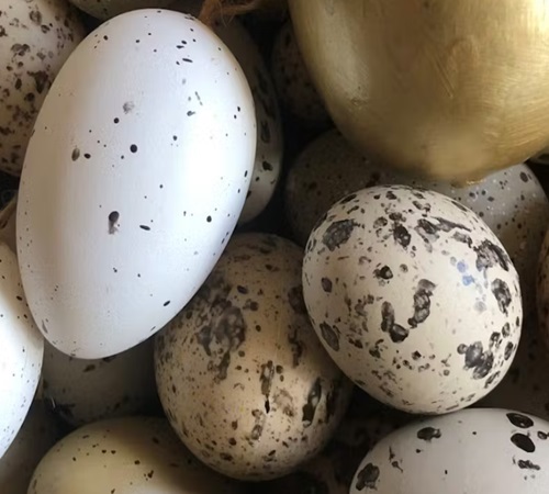 Paaseieren tellen Kasteel Doorwerth