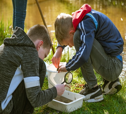 Waterspeurtocht Park Hoge Veluwe Ontdek het water bij Park De Hoge Veluwe