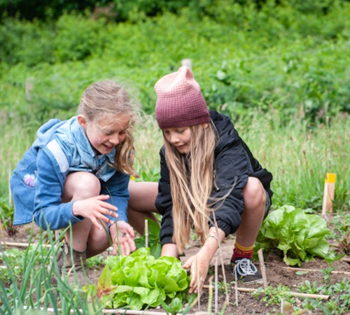 Zomeractiviteiten Natuurcentrum Arnhem