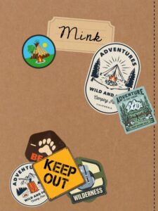 Het Mysterie van Mink