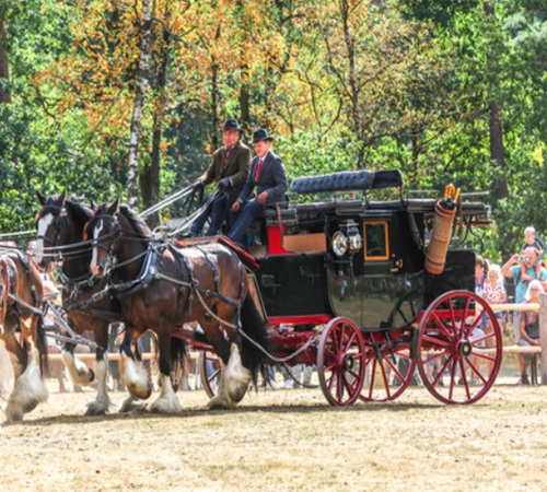 Weekend van het Paard