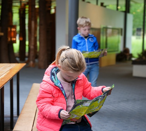 Zomerchallenge Door de bomen het bos