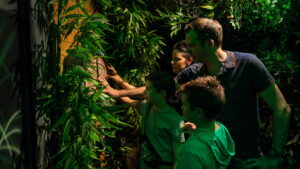 Escaperoom gezinnen Multi Fun Bussloo