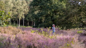 wandelen omgeving Vakantieoord Het Lorkenbos