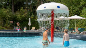 Kinderen zwembad Het Lorkenbos