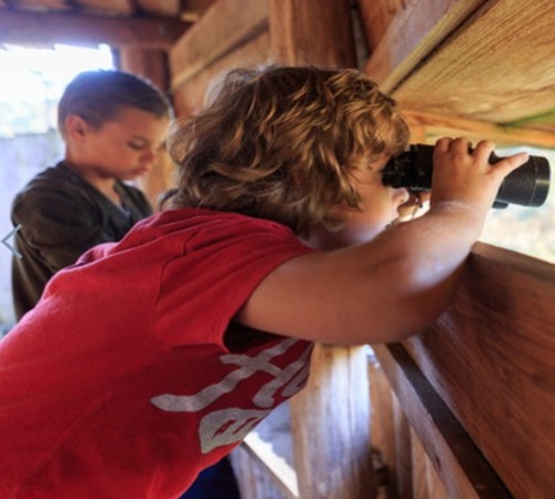 Kinderbronstexcursie Park Hoge Veluwe