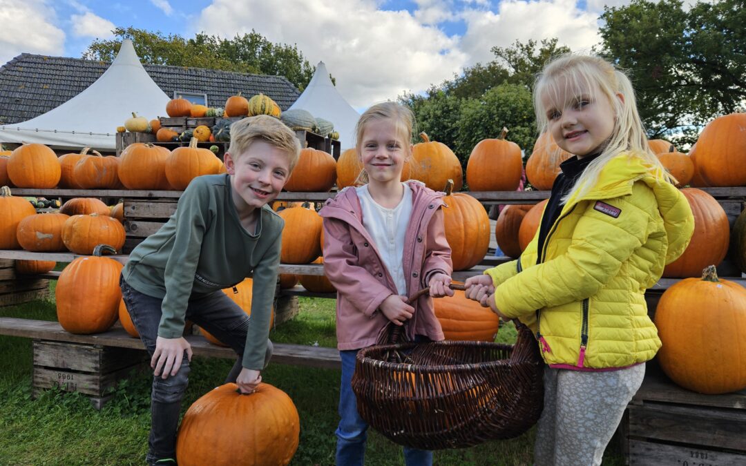 Herfstvakantie Veluwe met kinderen