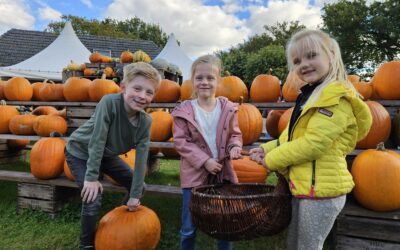 Herfstvakantie Veluwe met kinderen