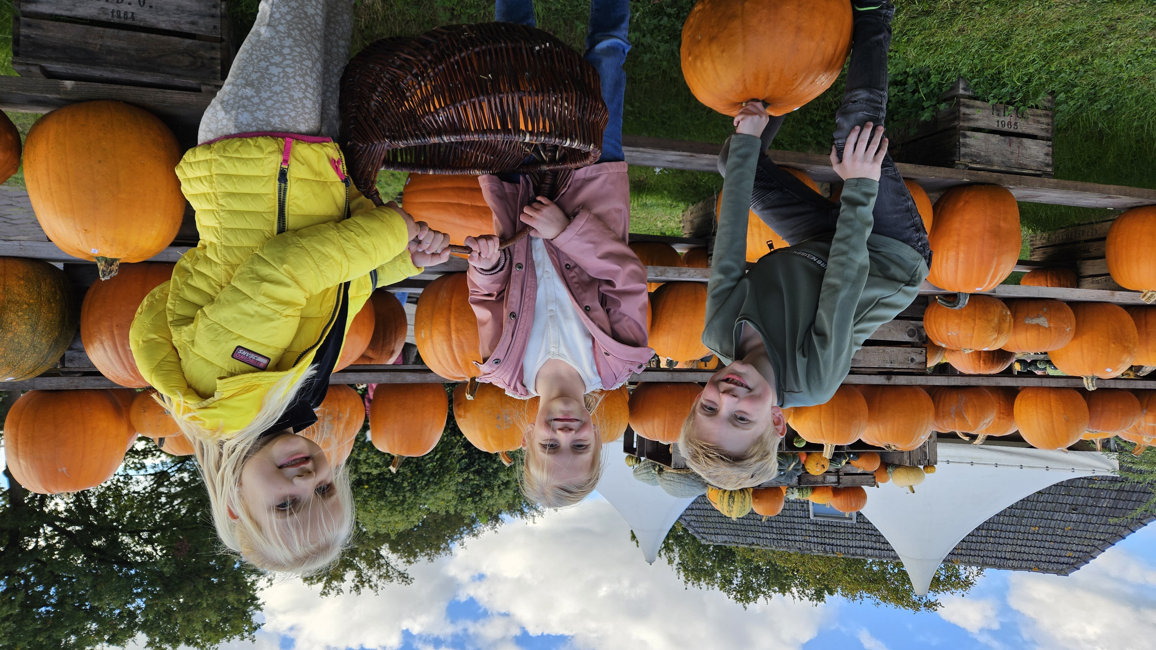 Kinderen bij een pompoenenboerderij in Ederveen