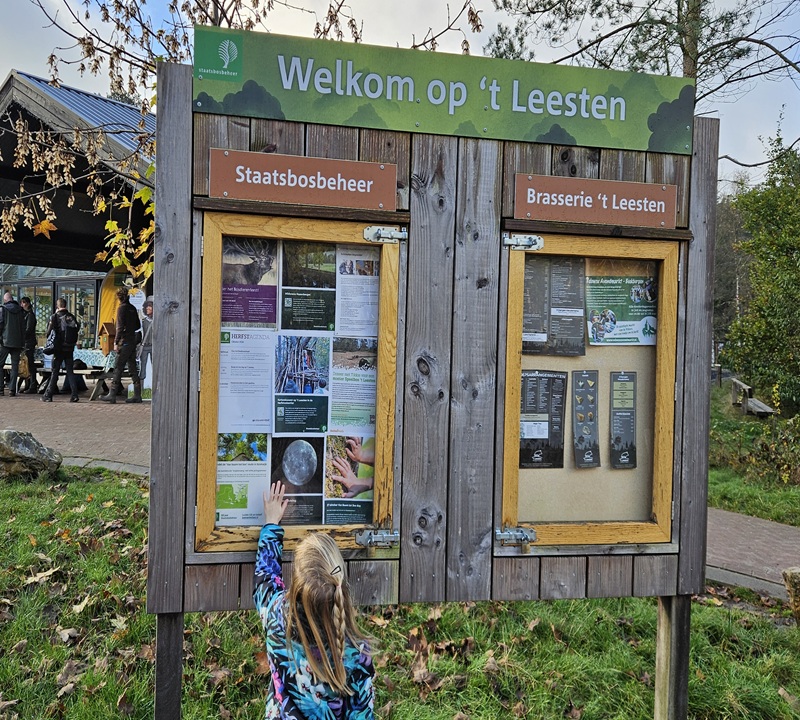 Wandelen met kinderen bij 't Leesten