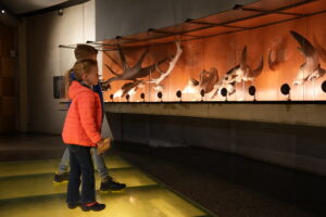 Kinderen in museonder