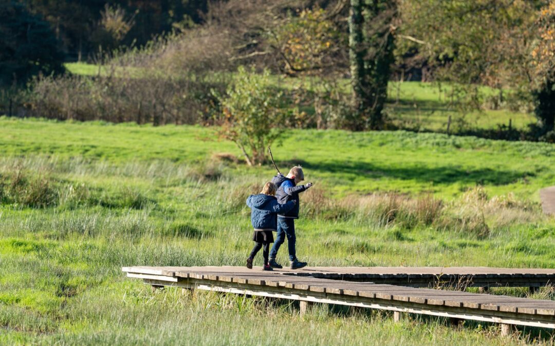 Herfstwandeling met kinderen: 5 tips op de Veluwe