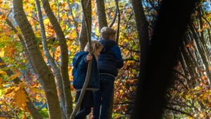 Kindvriendelijke wandeling Renkums Beekdal