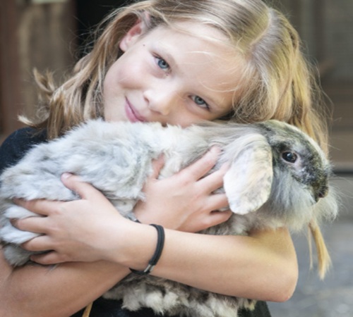 Dieren knuffelen bij Stadsboerderijen Arnhem