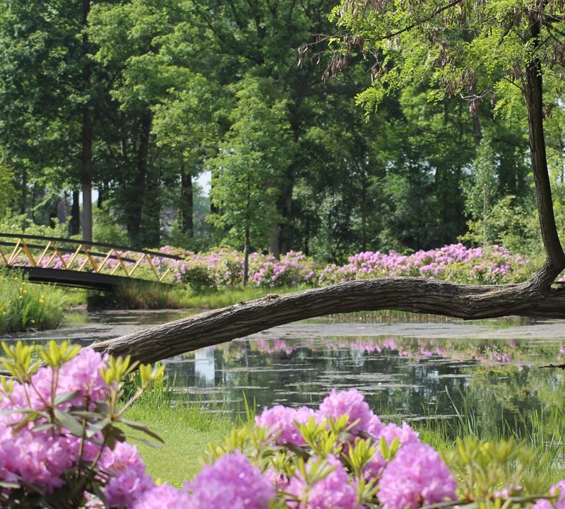 speuren en spelen in kasteelpark Cannenburch