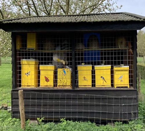 Kijken bij de Imker Kijken bij de Imker