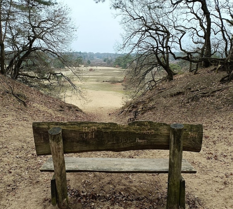 wandelen met kinderen de zanding