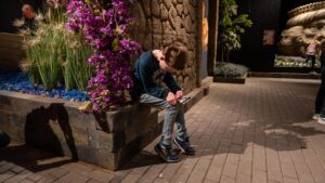 Veluwe met kinderen reporter voert speurtocht Zandsculpturen uit