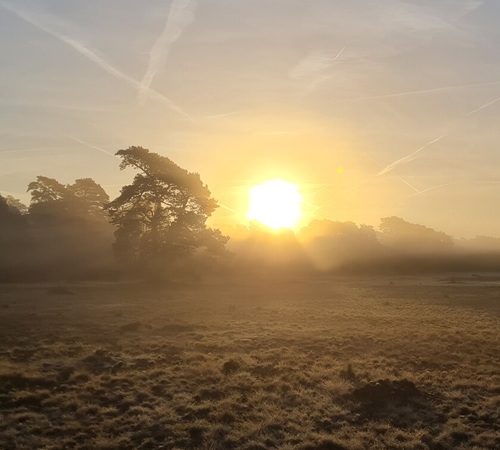 Dauwtrappen Park Hoge Veluwe Hemelvaartsdag Dauwtrappen Hoge Veluwe op Hemelvaartsdag