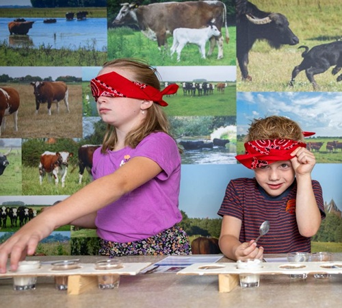 Vakantietip Zuivelmuseum Wapenveld