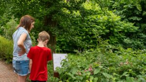 Boomroute De Glind, wandeltip met kinderen