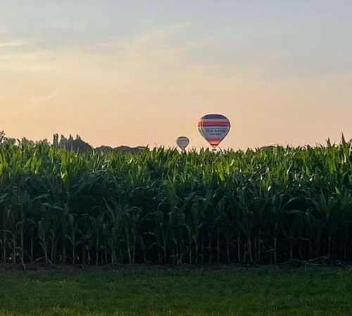Zomervakantie bij Belevenisboerderij De Groenerie