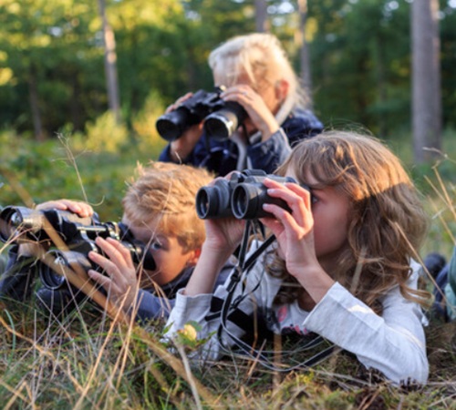 Hoge Veluwe Wilde Weken Wildexcursie