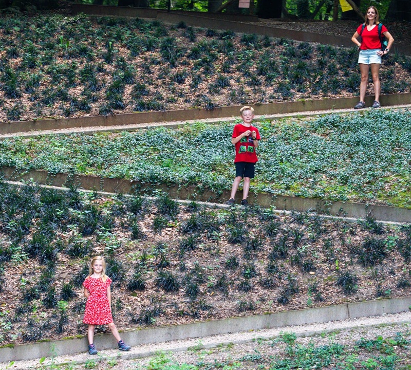 Wandelen met kinderen bij Landgoed Mariendaal