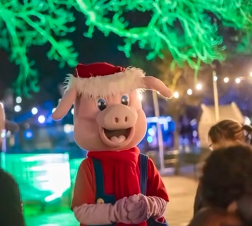 Binky's lichtjesfeest