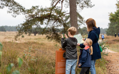 The Nature Game op De Hoge Veluwe
