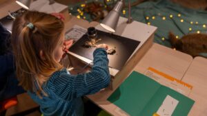 Kindvriendelijke activiteit uilenballen pluizen in Het Nationale Park De Hoge Veluwe