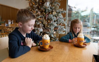 Kerstvakantie 2025: Veluwe met kinderen tips