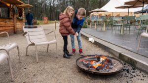 Winterse activiteit en kerstmarkt op de Veluwe met kinderen