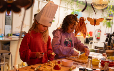 Kinderfeestje Harderwijk? 10 x de leukste ideeën!