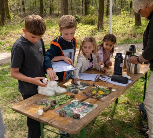 Zintuigen Zeskamp bouw je eigen insectenhotel Het Nationale Park De Hoge Veluwe