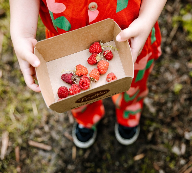 Fruittuin Verbeek, het leukste uitje in het groen met kinderen