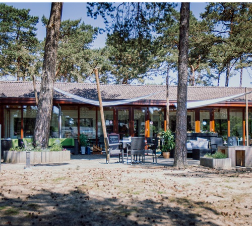 Oranjefeest Roekplein De Hartenberg