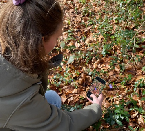 BioBlitz Het Nationale Park De Hoge Veluwe