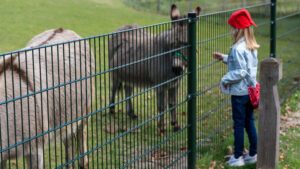 parkboerderij De Hartenberg- Kabouterpad