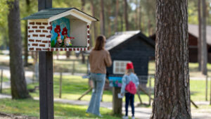 close up kabouters kabouterpad De Harteberg
