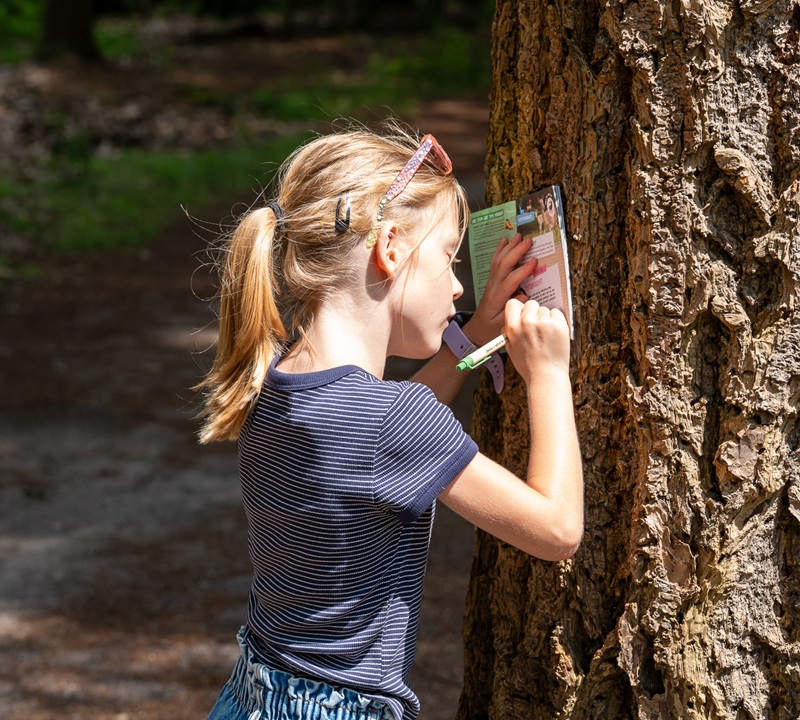 Kinderbelevingspaden Eperholt