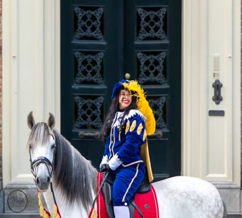 Het kasteel van Sinterklaas – kasteel Rosendael Het Kasteel van Sinterklaas bij kasteel Rosendael